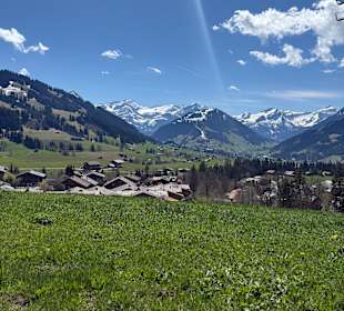 Ausblick