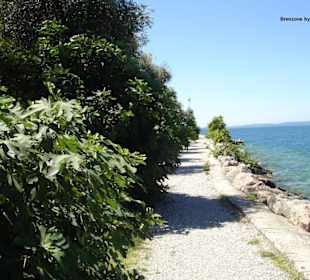 Strandpromenade in Brenzone
