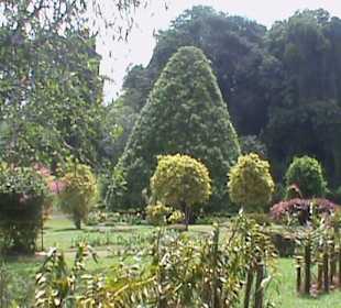 Botanischer Garten