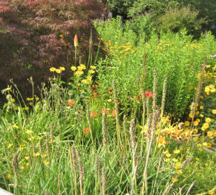 Blumen und Bäume
