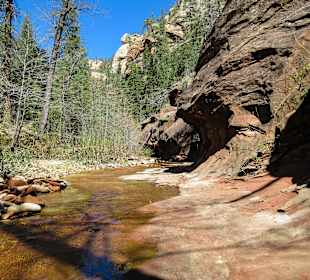 West Fork Trail