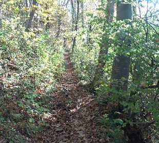 Wandertour "Rund um den Rossberg" Öschingen
