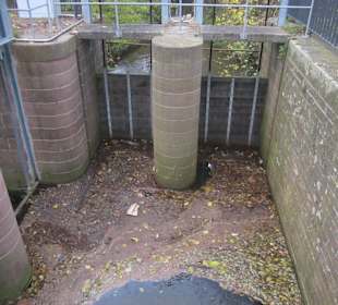 Viel Schmutz gesammelt