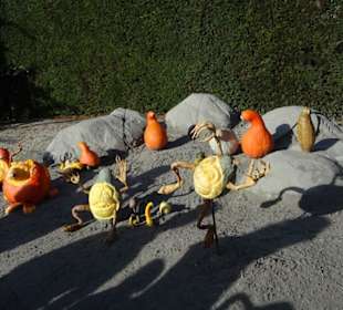 Kürbisausstellung
