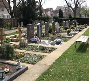 Alter Friedhof