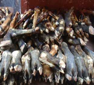 Zeigt her eure Füsse