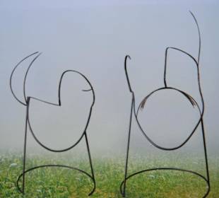 Angesichter ; Guido Messer Korb