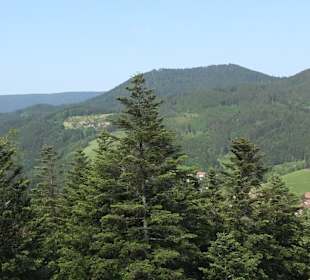 Teufelskanzelsteig Bad Griesbach