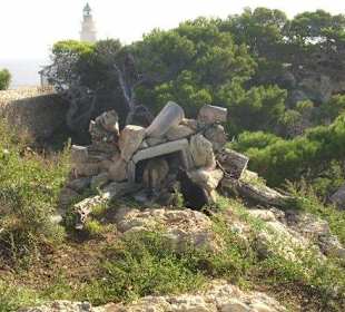 Trockenfutter-Automat für die kastrierten Katzen