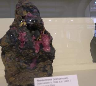 Museum für Naturkunde