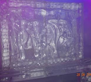 Ice Bar