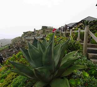 Minack Open Air Theatre