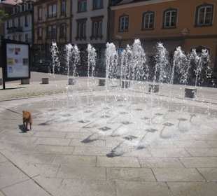 Niederbronn les Bains