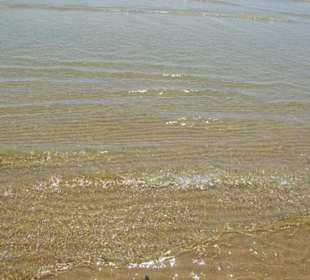 Strand von Bibione 06-2010