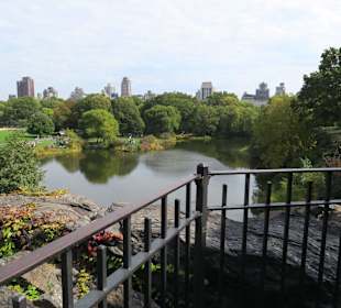 Central Park 