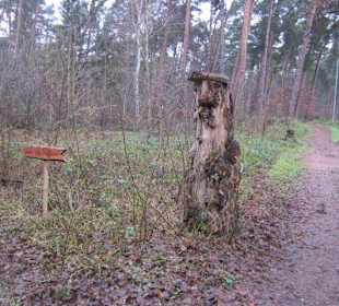 Waldbasar in Dudenhofen