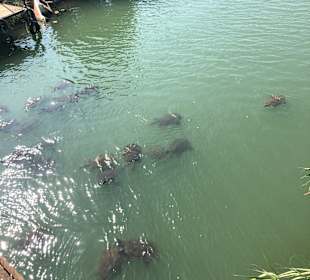 Strandpromenade Evrenseki