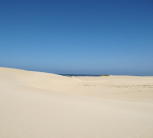 Sanddüne