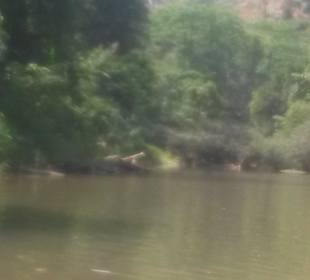 Kanufahrt auf dem Sok