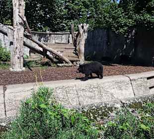 Zoo Wrocław