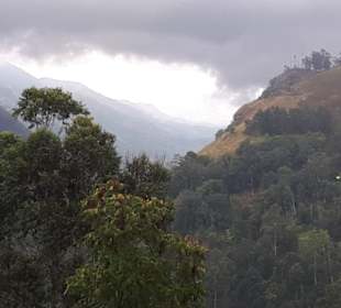 Ella - Toller Ausblick..  