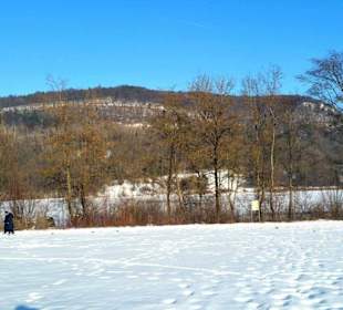 Winterpanorama am Stausee