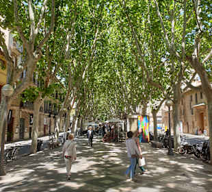 Altstadt Palma de Mallorca