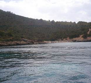 Llegando a la costa