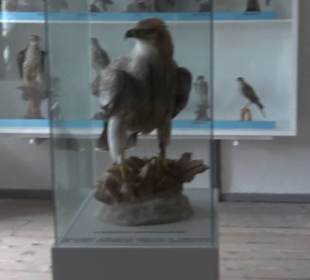 Museum Rosenburg