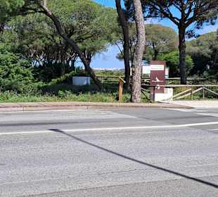 Salina Santa Teresa in Chiclana de la Frontera