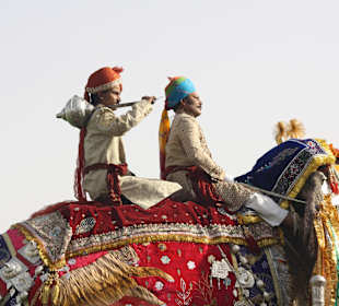 Elefanten Festival Jaipur 