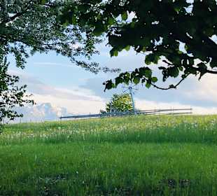 Wandern Lechbruck am See