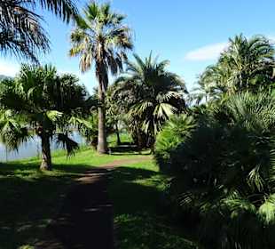 Spaziergang durch den Botanischen Garten Mascarin