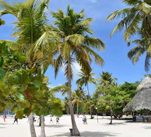 Strand auf der Barcadi Insel