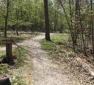 Waldsportpfad im Wasenwald