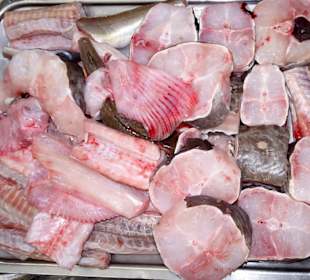 Rundgang durch die Fischabteilung