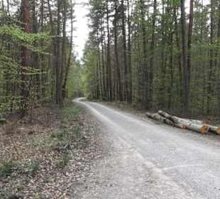 Wanderweg Firstwaldrunde
