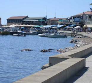 Am Hafen von Paphos 