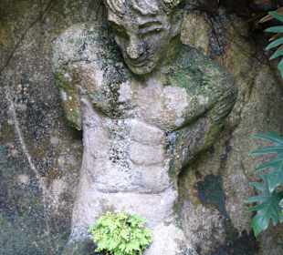 Da hatte der Landschaftsgärtner wohl seinen Spaß