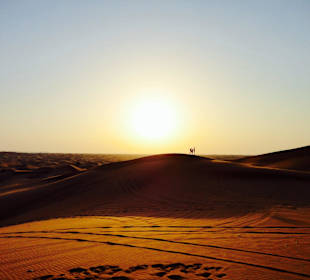 Wüste Dubai's 