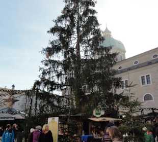 Christkindlmarkt am Dom