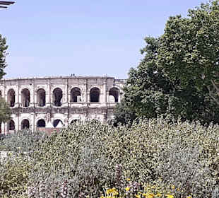Nimes
