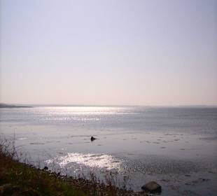 Naturschutzgebiet Geltinger Birk