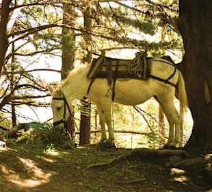 Krankentransport in der Samaria Schlucht