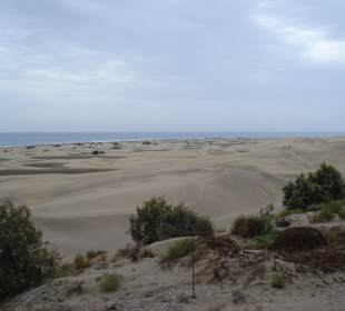 Maspalomas , Dünen
