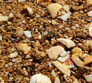 Praia de Nossa Senhora da Rocha