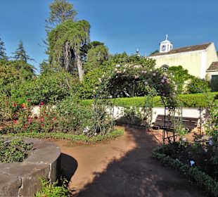 Eindrücke vom Rundgang durch Blandy´s Garden