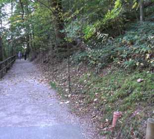 Triberger Wasserfälle