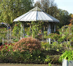 Rundgang durch das herbstliche "Planten un Blomen"