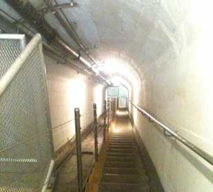 Festungsmuseum Crestawald (Museum)